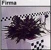 Firma