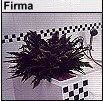 Firma